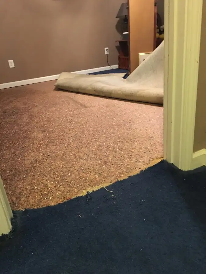 Carpet pad removal revealing water damage during Water Mitigation Services in Rutland